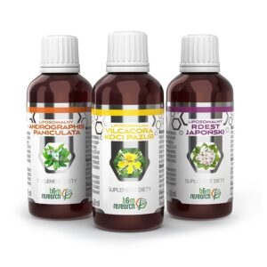 PODSTAWOWY PROTOKÓŁ BUHNERA - 3 produkty
