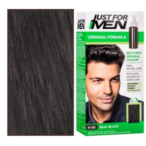 Just For Men - odsiwiacz do włosów dla mężczyzn, 66 ml H55 | Czarny Naturalny